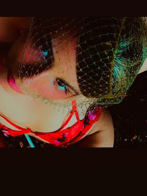 kissmekat OnlyFans